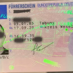 obtain german driver’s license online without exam
