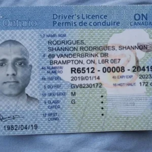 buy canadian drivers license without exam