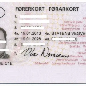 acquire a norwegian driving license online